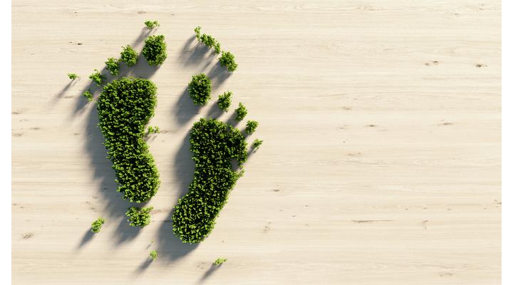 10 egyszerű tipp a CO2 lábnyomod csökkentésére
